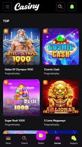 Experience the Excitement Casiny Casino