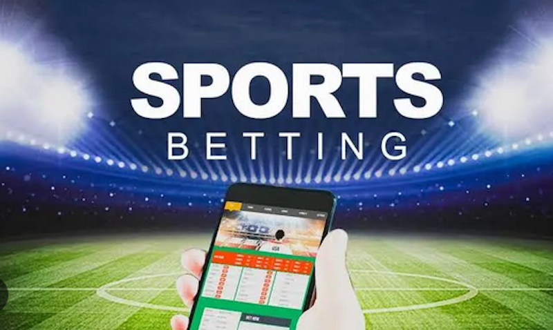 Betwinner Your Ultimate Guide to Sports Betting